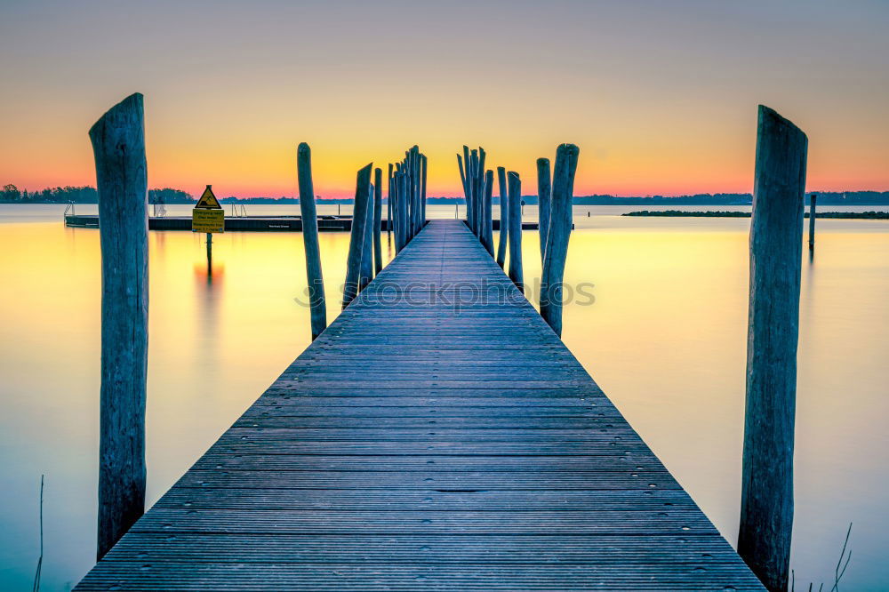 The Evening Dog Footbridge