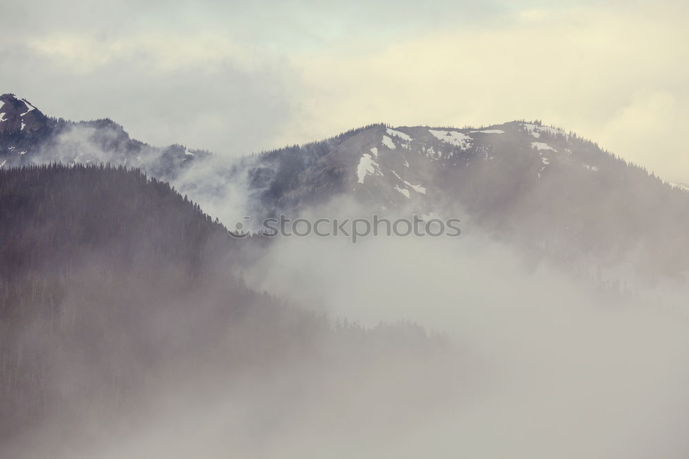 Similar – Image, Stock Photo altitudinal steps