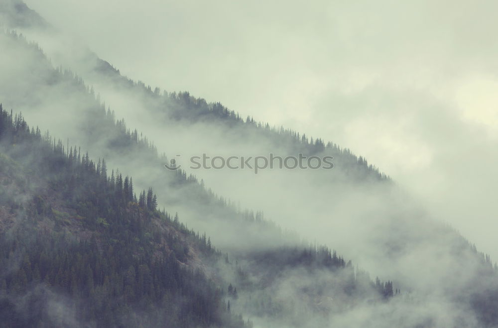 Similar – Panorama of forest covered by low clouds. Autumn rain and fog