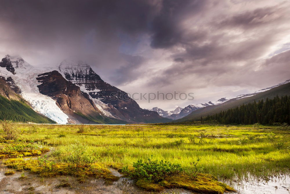 Similar – Image, Stock Photo Autumn at Mount Crowfoot
