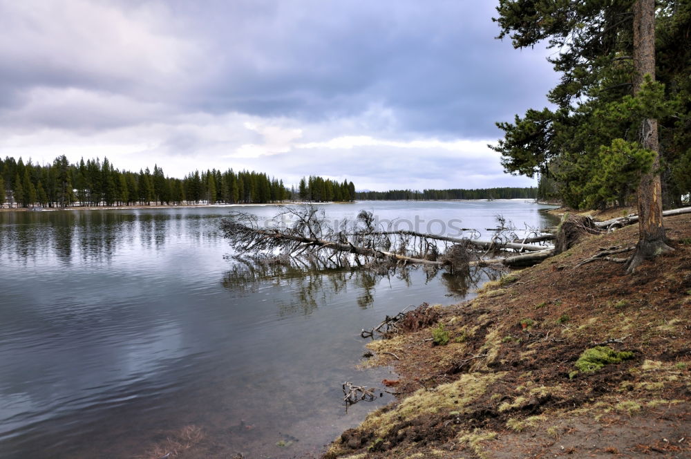 Similar – Image, Stock Photo ford Adventure Nature