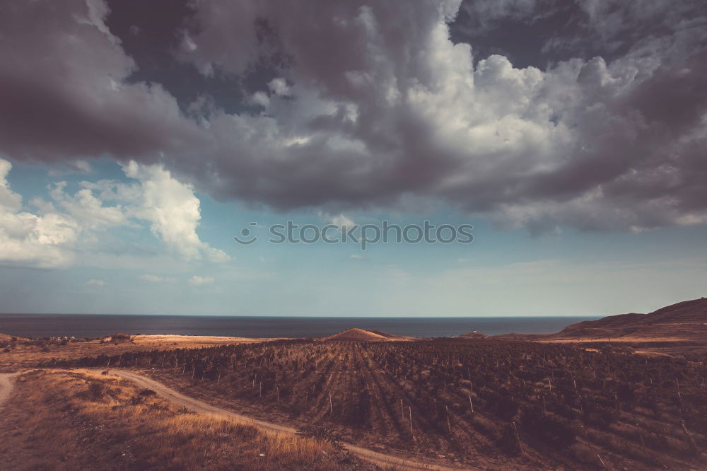 Similar – Image, Stock Photo Rosamond Environment