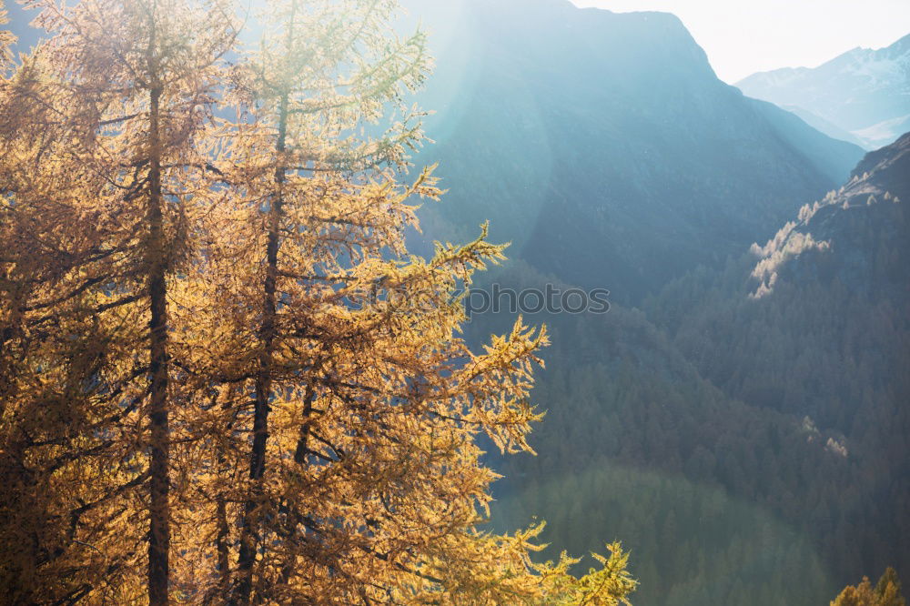 Similar – Image, Stock Photo # 778 Switzerland