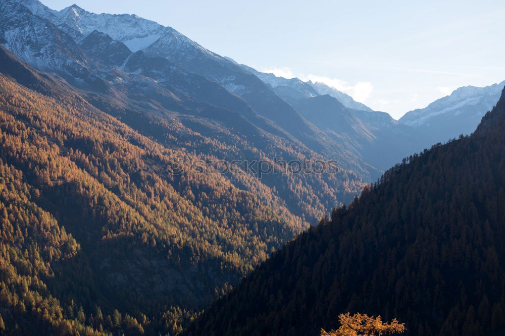 Similar – Image, Stock Photo Dolomites Forest White