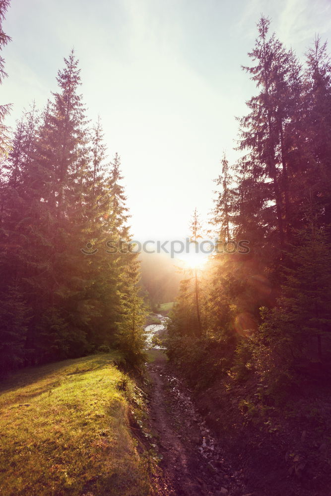 Similar – Image, Stock Photo vastness Environment