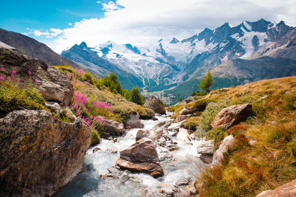 Wunderschöne Berglandschaft mit Bach bei den Alpen, Schweiz im Sommer bei blauem Himmel