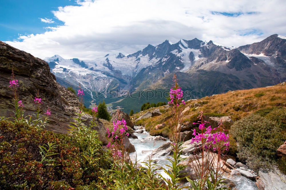 Similar – Wunderschöne Berglandschaft mit Bach bei den Alpen, Schweiz im Sommer bei blauem Himmel