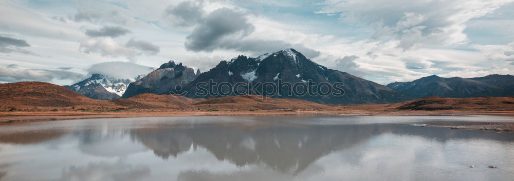 bank of fog