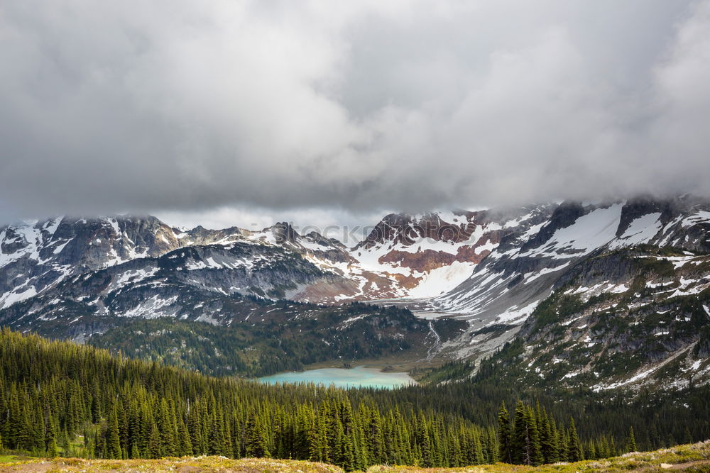 Similar – Image, Stock Photo Lyell Canyon Harmonious