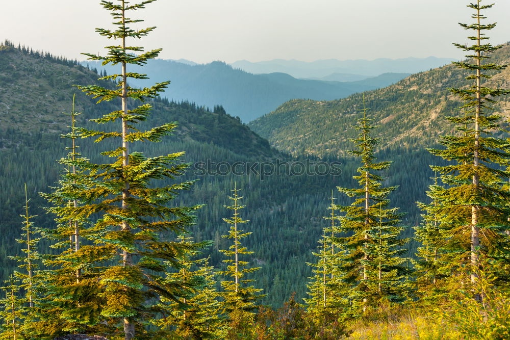 Image, Stock Photo Diamond Peak Landscape