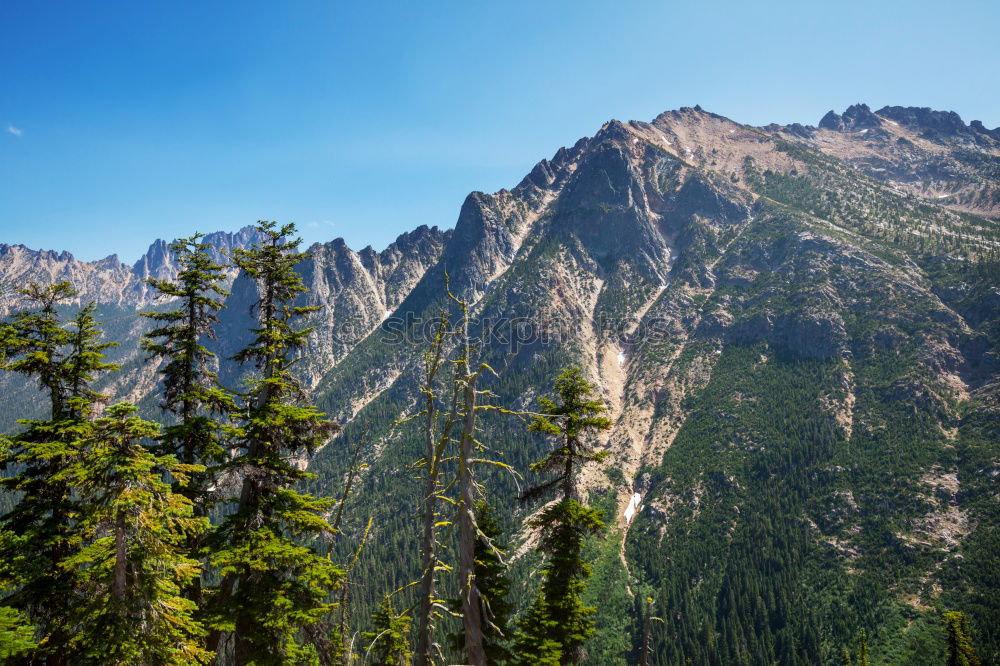 Similar – Image, Stock Photo Peaks and trees Harmonious