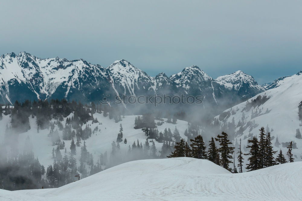 Similar – Foto Bild Spuren im Schnee II