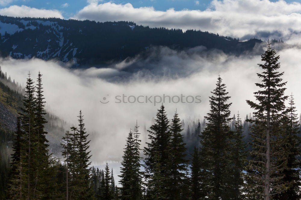 Similar – Image, Stock Photo Diamond Peak Landscape