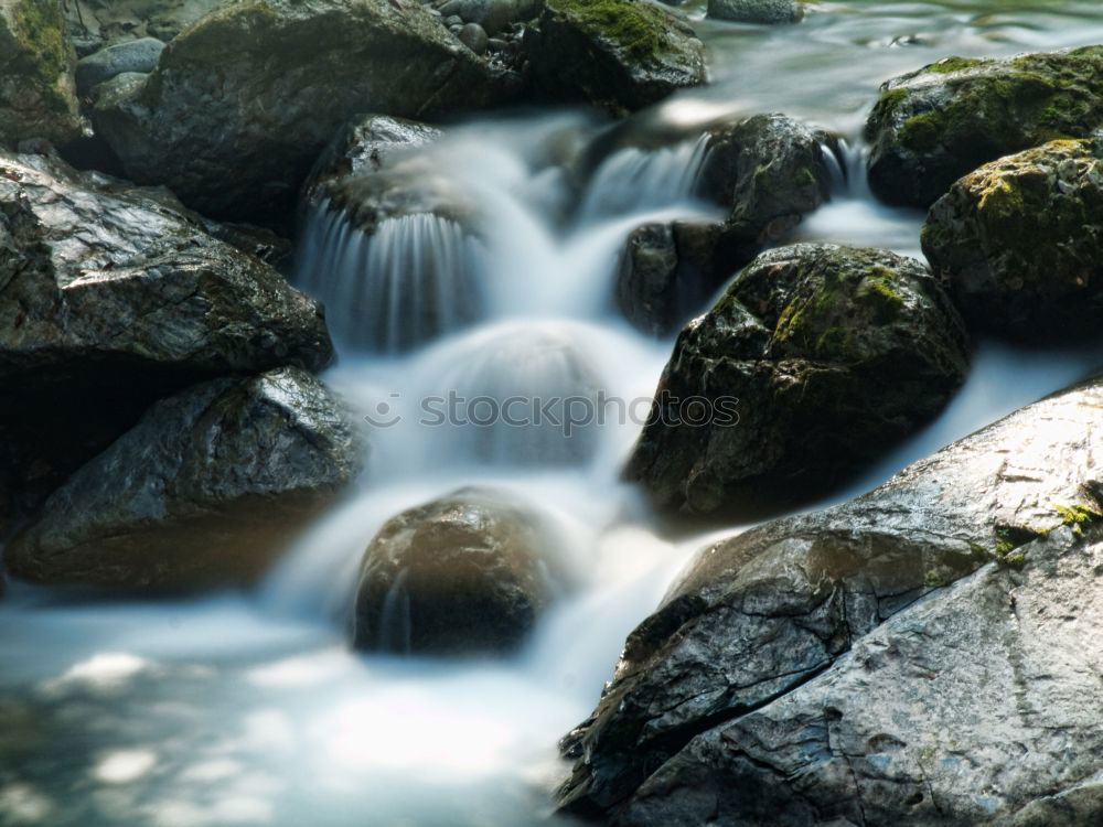 Similar – Image, Stock Photo watercourse Environment