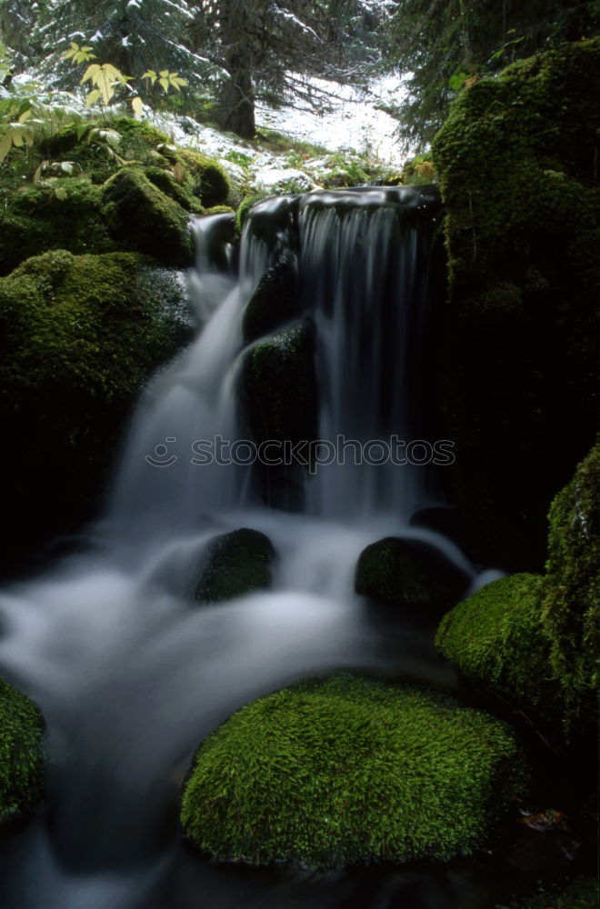 Similar – Little brook in the park