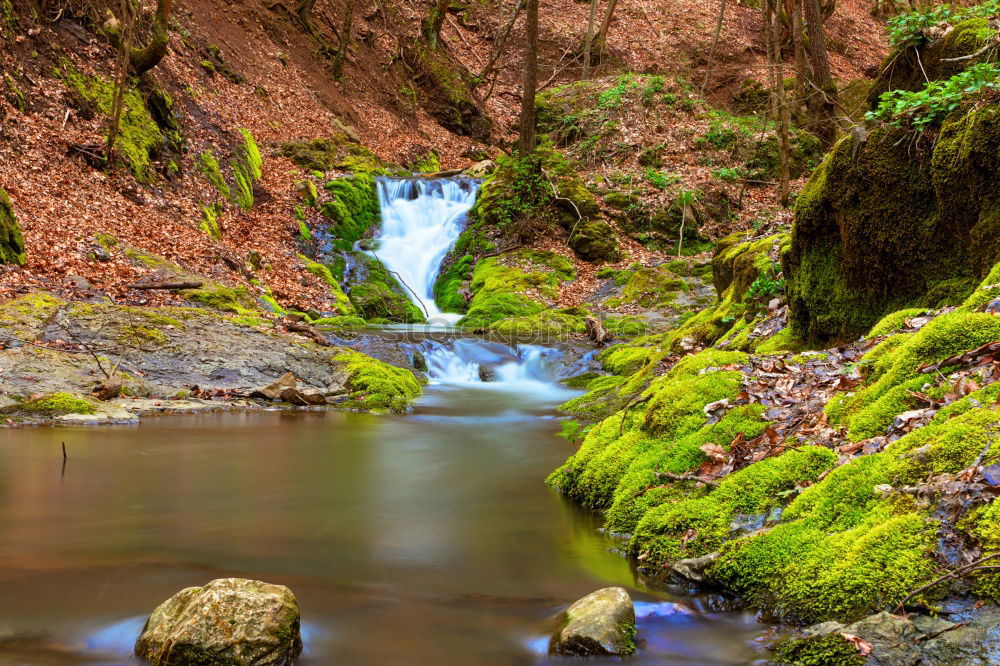 Similar – Image, Stock Photo Landscape with deer and old bridge over river in Scotland