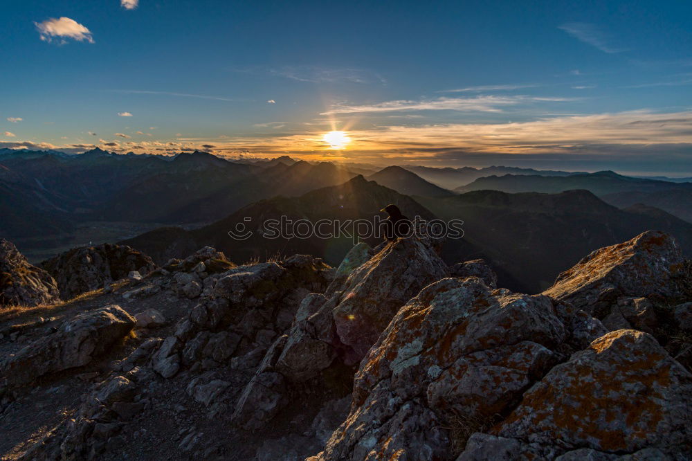 Similar – Image, Stock Photo Visitors to the summit of Zugspitze