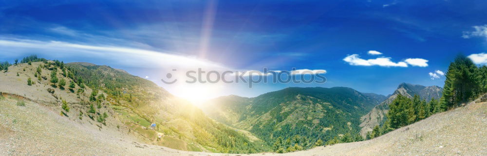 Similar – Image, Stock Photo Half and half Wood Clouds