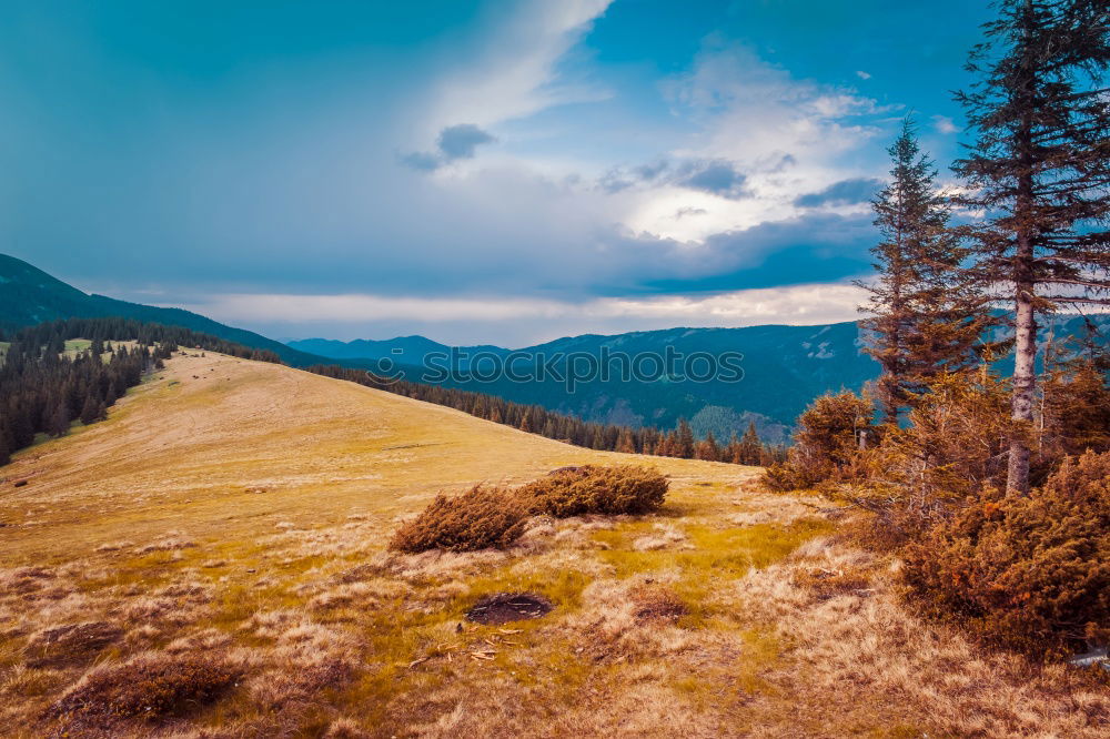 Similar – Image, Stock Photo Carpathian Mountains Landscape In Romania