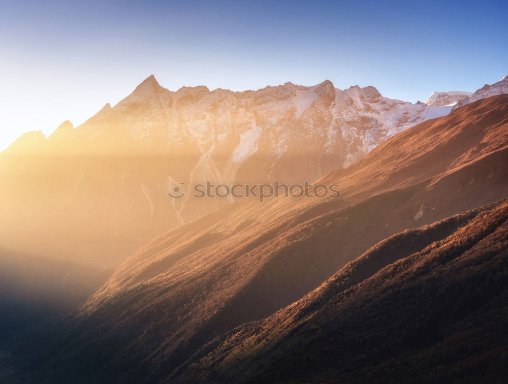 Similar – Image, Stock Photo Himalayanayaayaa