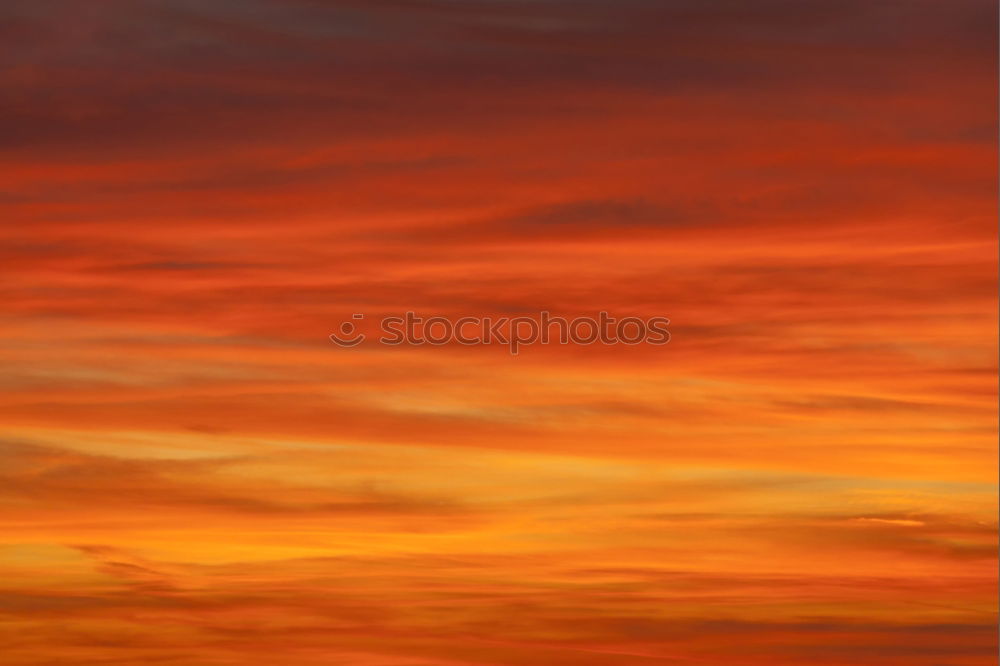 Similar – Image, Stock Photo Baltic sea Environment