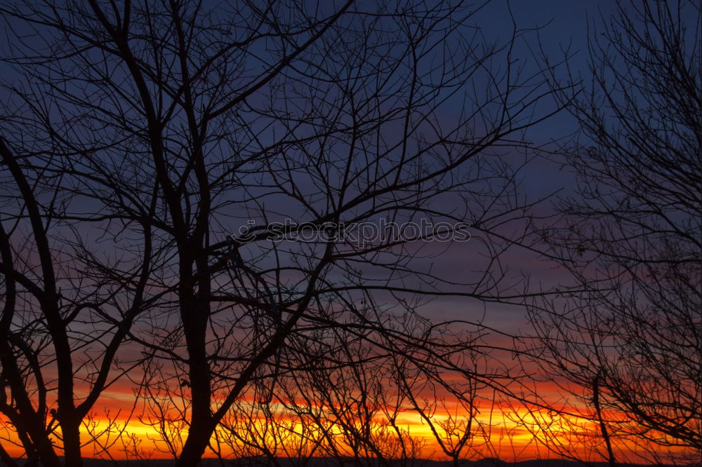 Similar – Image, Stock Photo Evening Environment Nature