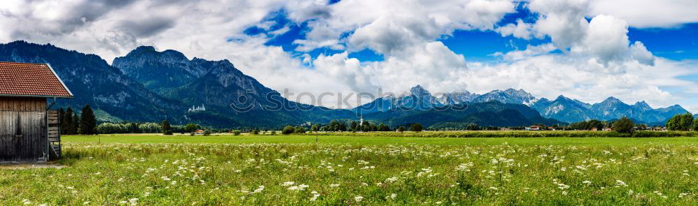 Similar – Image, Stock Photo domestic territory