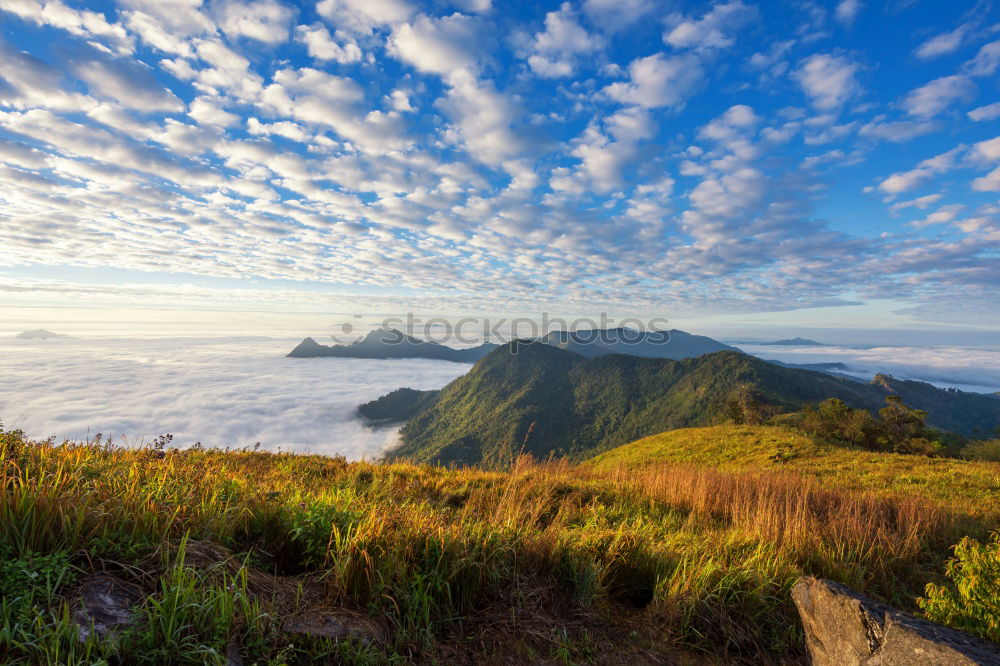 Similar – Lake Furnas in the Azores