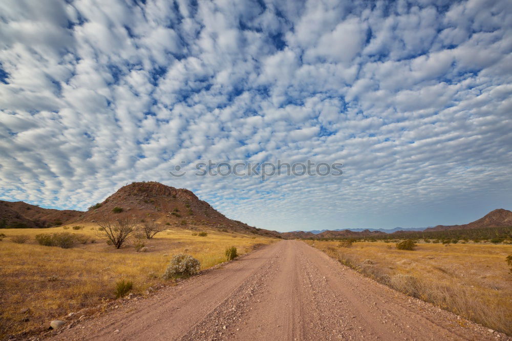 Similar – Road in Australia