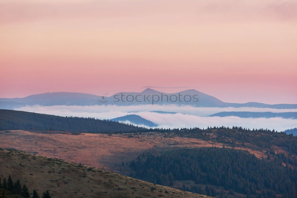 Similar – Image, Stock Photo Nebulised Nature Landscape