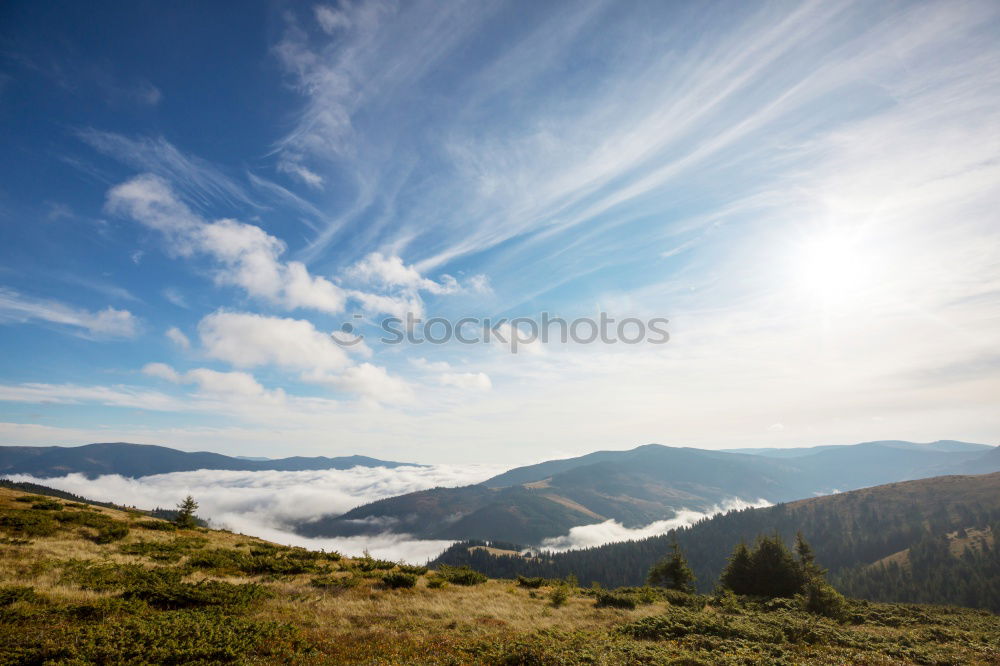 Similar – Image, Stock Photo Let’s go to the mountains!