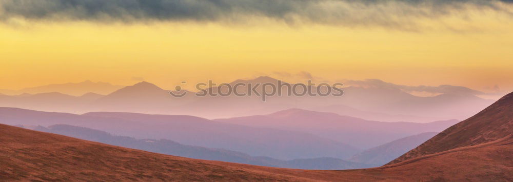 Similar – Morning greetings in late summer