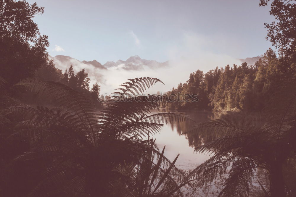 Similar – Islands in fog Alberta