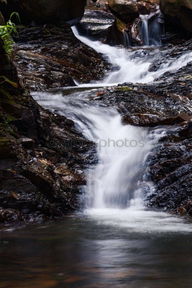 Similar – Image, Stock Photo Beautiful waterfall in the forest