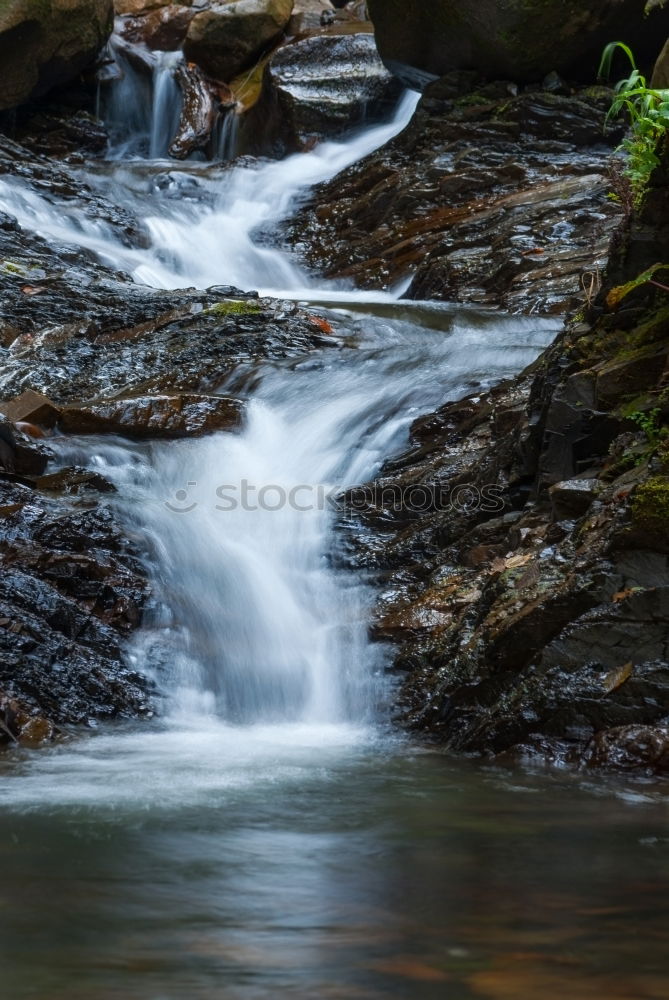 Similar – Image, Stock Photo Beautiful waterfall in the forest