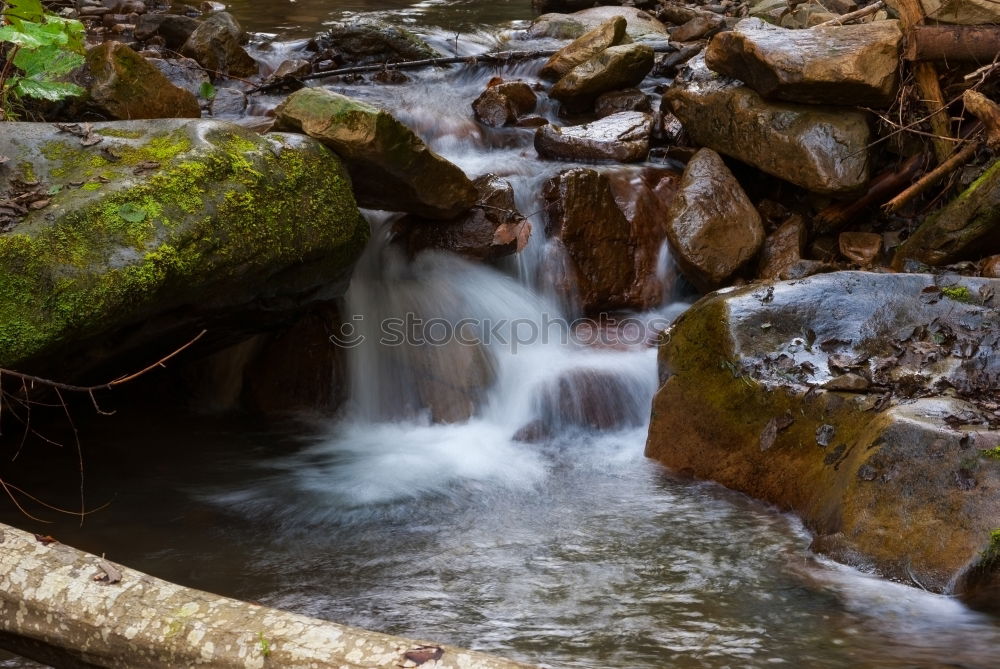 Similar – Bergbach again Brook