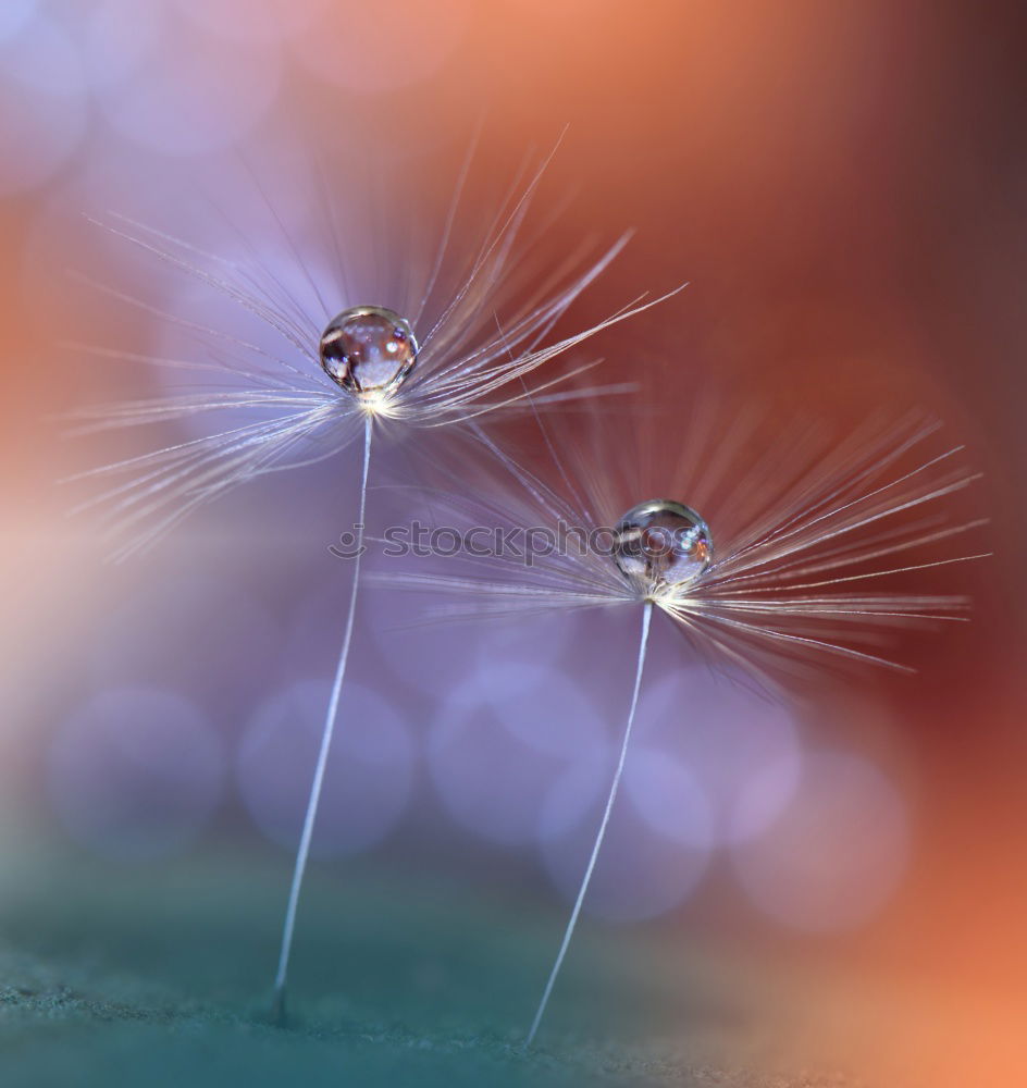 Similar – Image, Stock Photo trickle Water