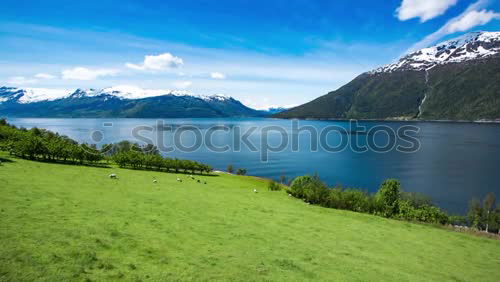 Similar – Image, Stock Photo NEW ZEALAND Lifestyle