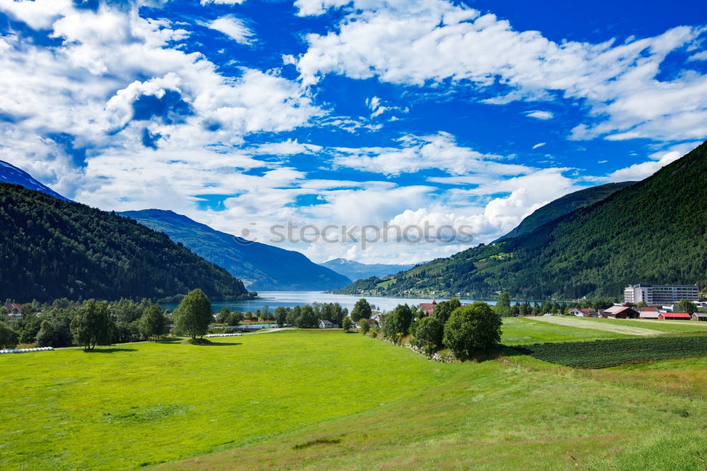 Similar – Image, Stock Photo Juicy Environment Nature