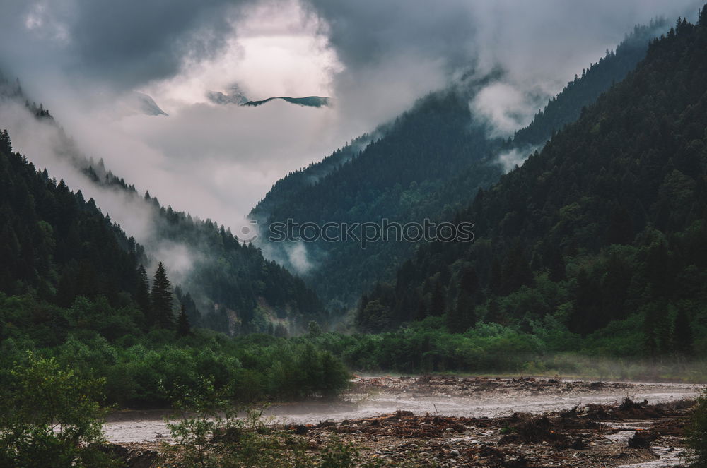 Similar – Image, Stock Photo Dresden elbhang Town