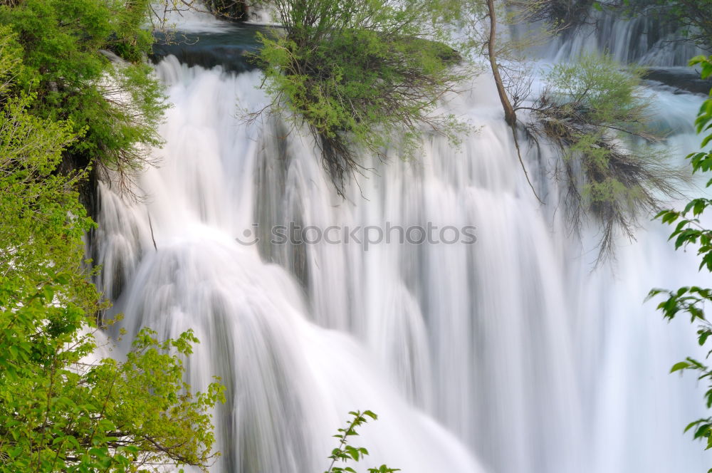 Similar – Foto Bild Krka Umwelt Natur