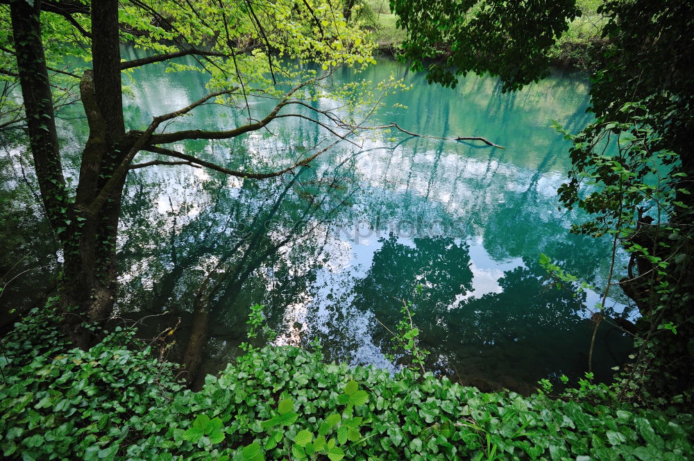 Similar – Image, Stock Photo Reflection in the lake