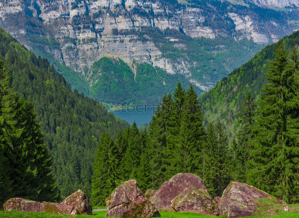 Similar – Mountain peaks with green forest and rocks in Swiss Alps