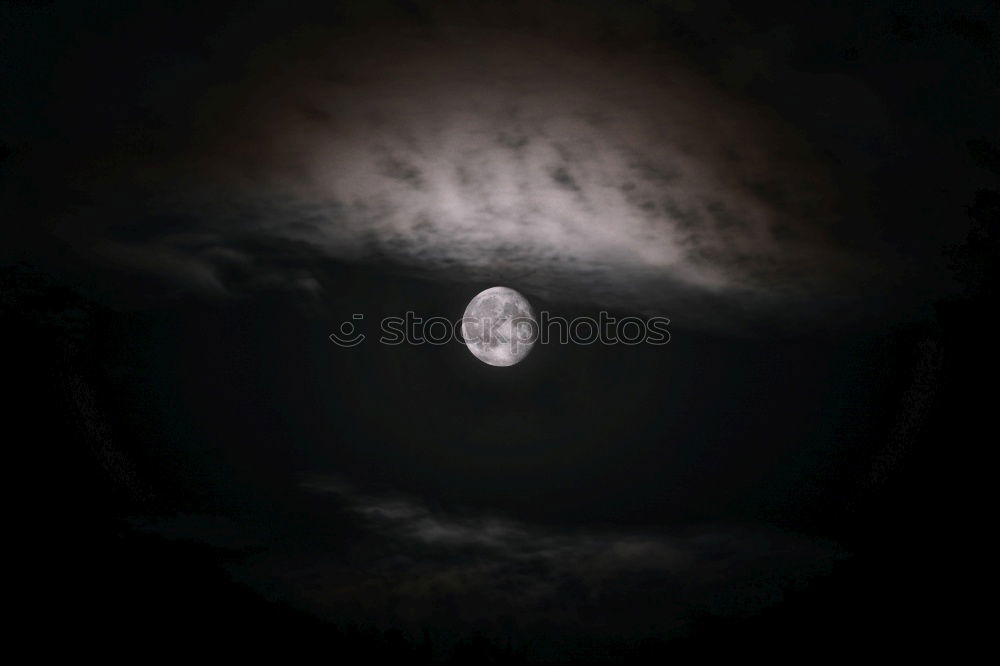 Similar – moonrise Night Moody Wolf