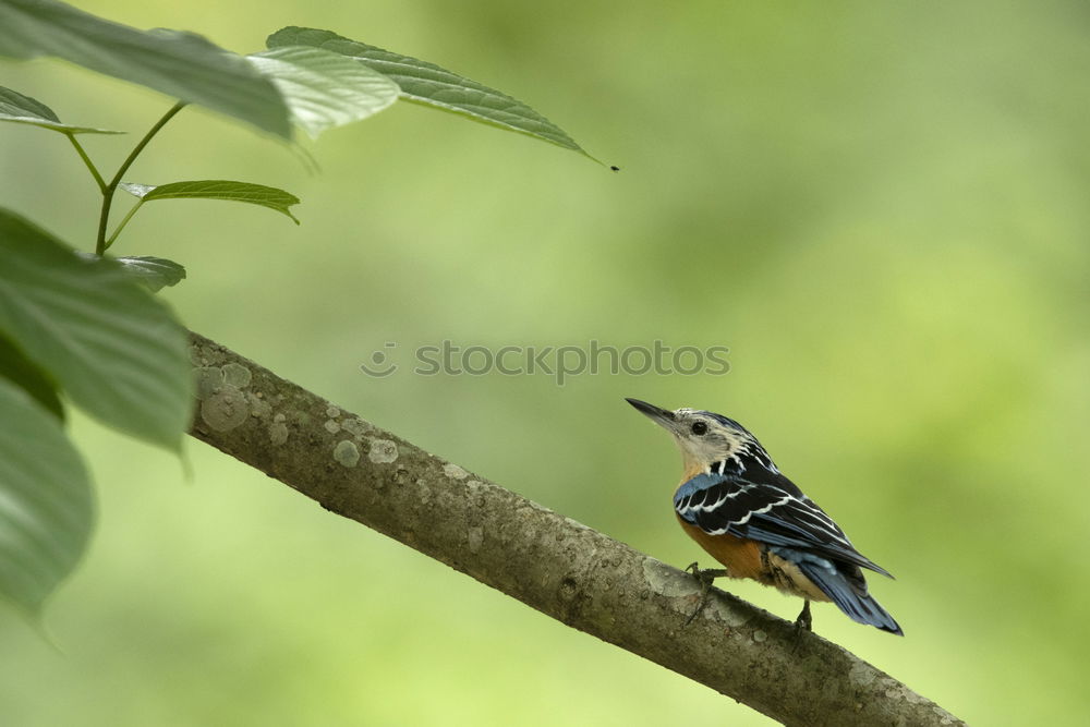 Similar – Image, Stock Photo Outing to the countryside on a warm October day