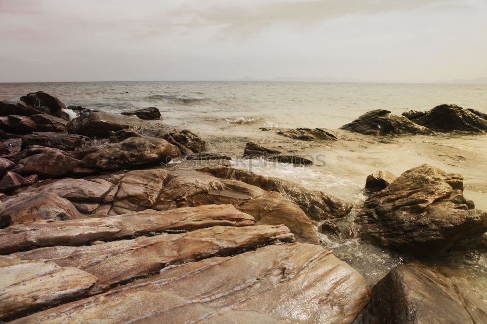 Similar – Image, Stock Photo Mussel on the beach Beach