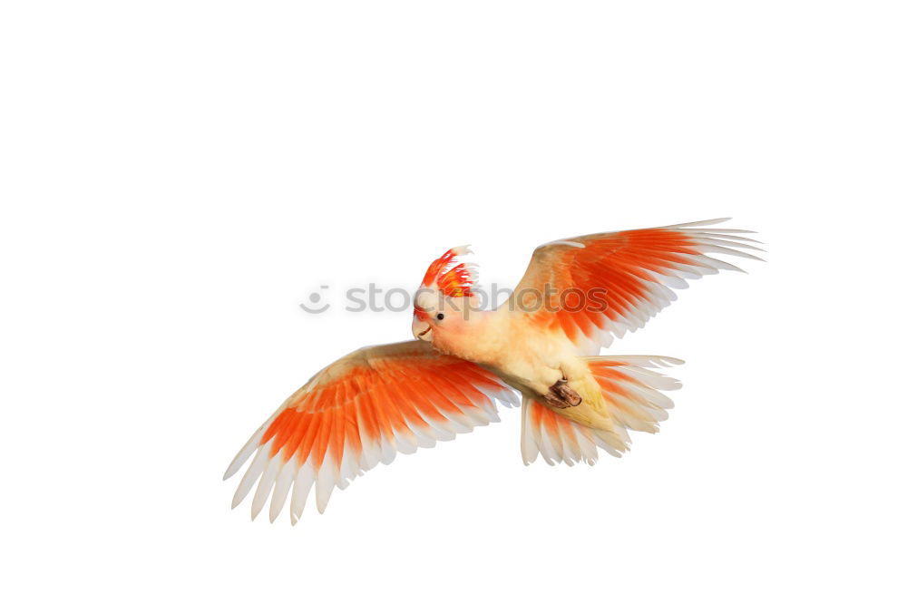 Similar – Image, Stock Photo colour flex Elements Air