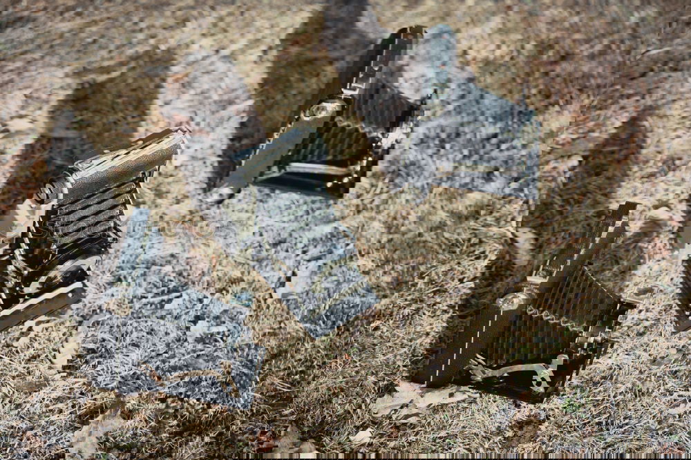 Similar – Image, Stock Photo illegally disposed