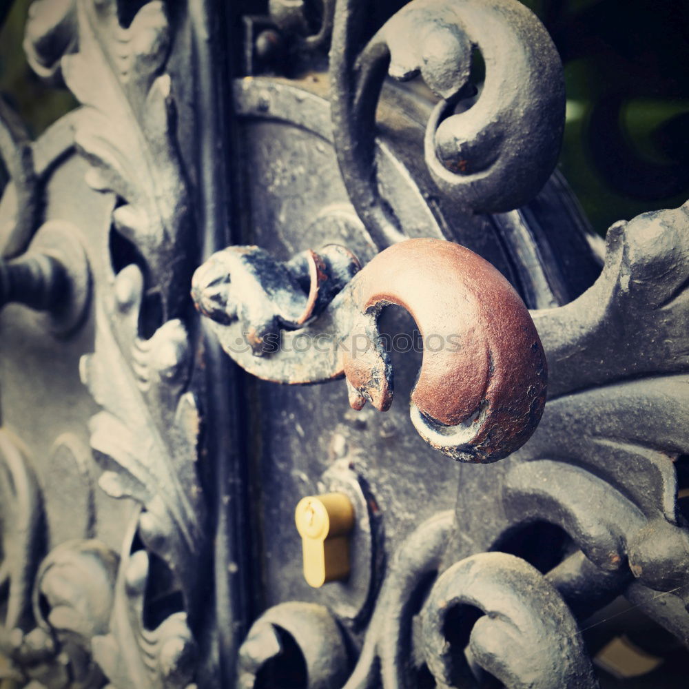 Similar – Foto Bild Wandschnecke Stein Beton