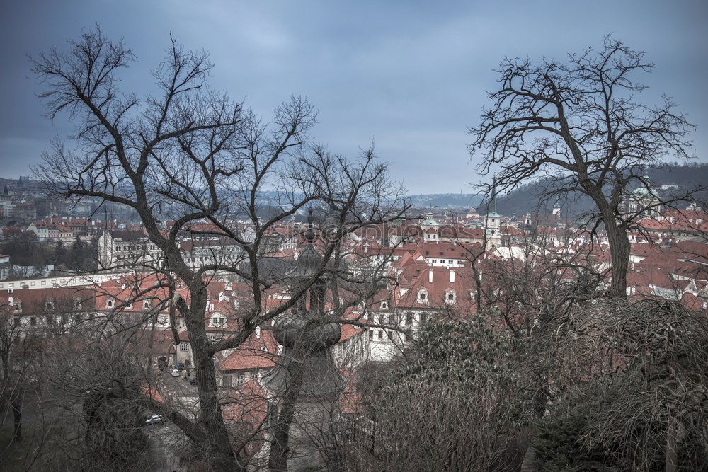 Similar – Image, Stock Photo peek over the city Sky